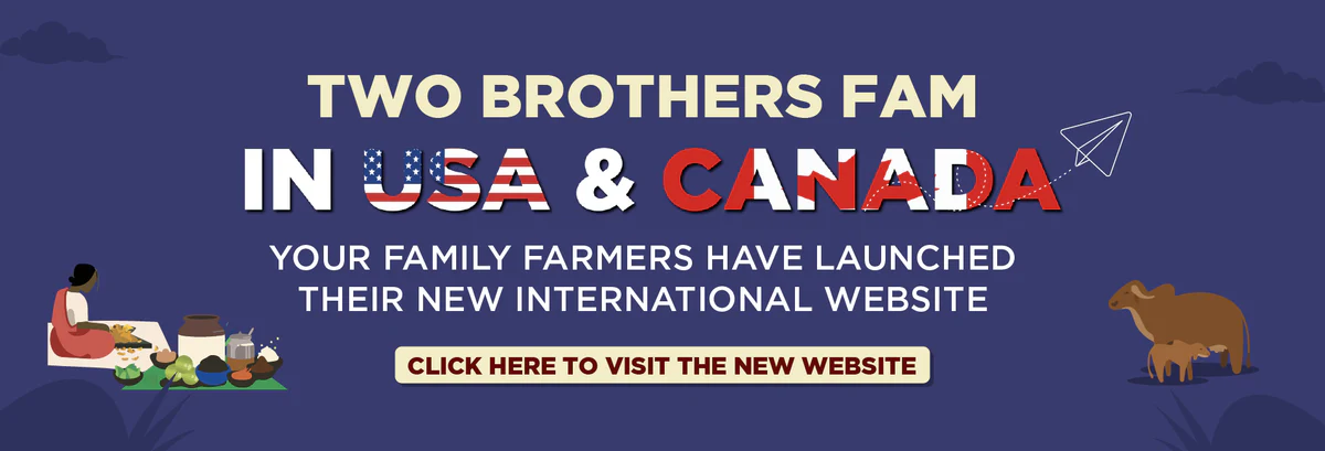 Ancient Traditions, Honest Organic Food